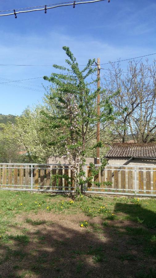 Ferienwohnung Anna Maroldsweisach 外观 照片